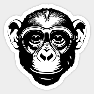 Chimpanzee Sticker